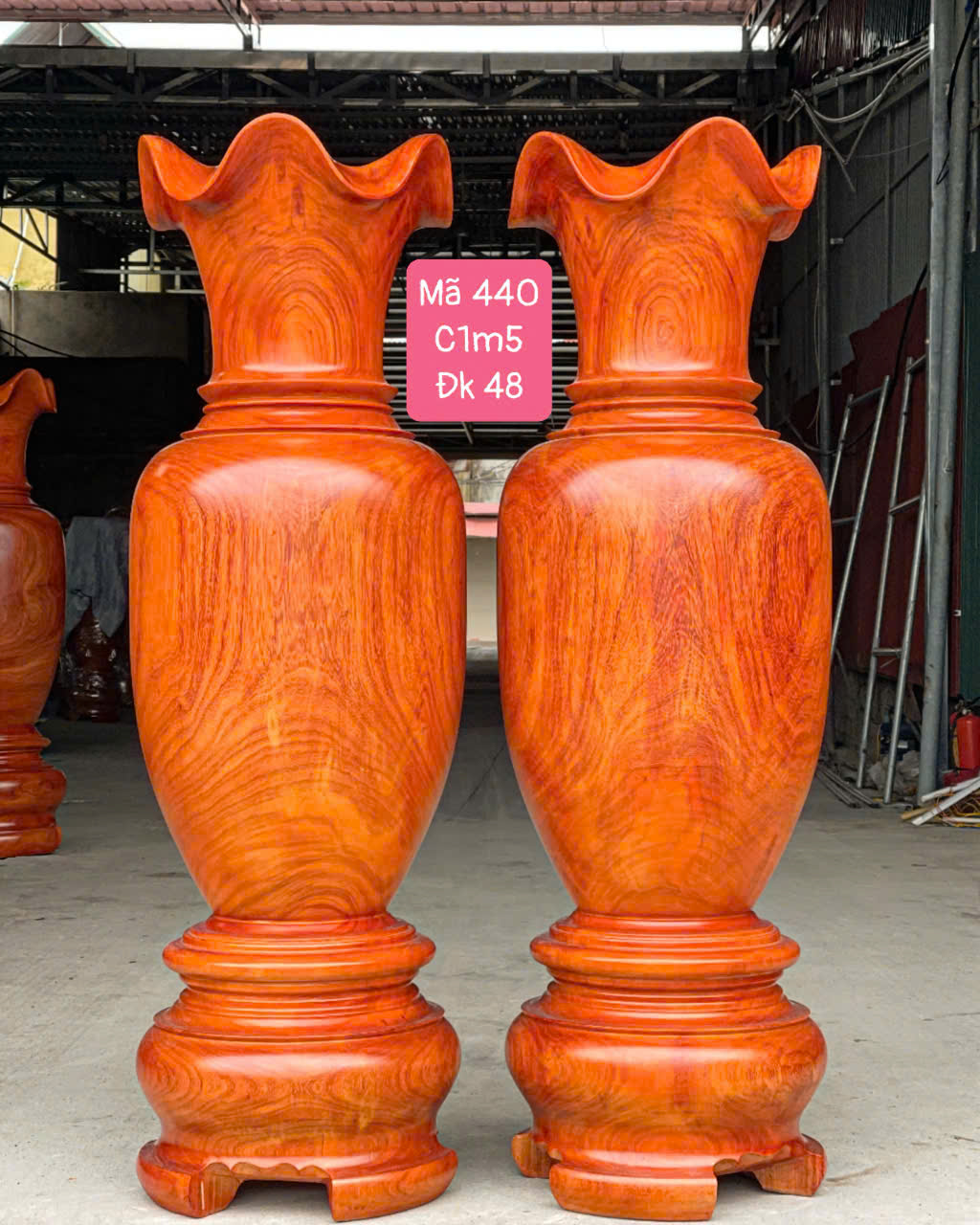 lục bình hương đỏ 1m5